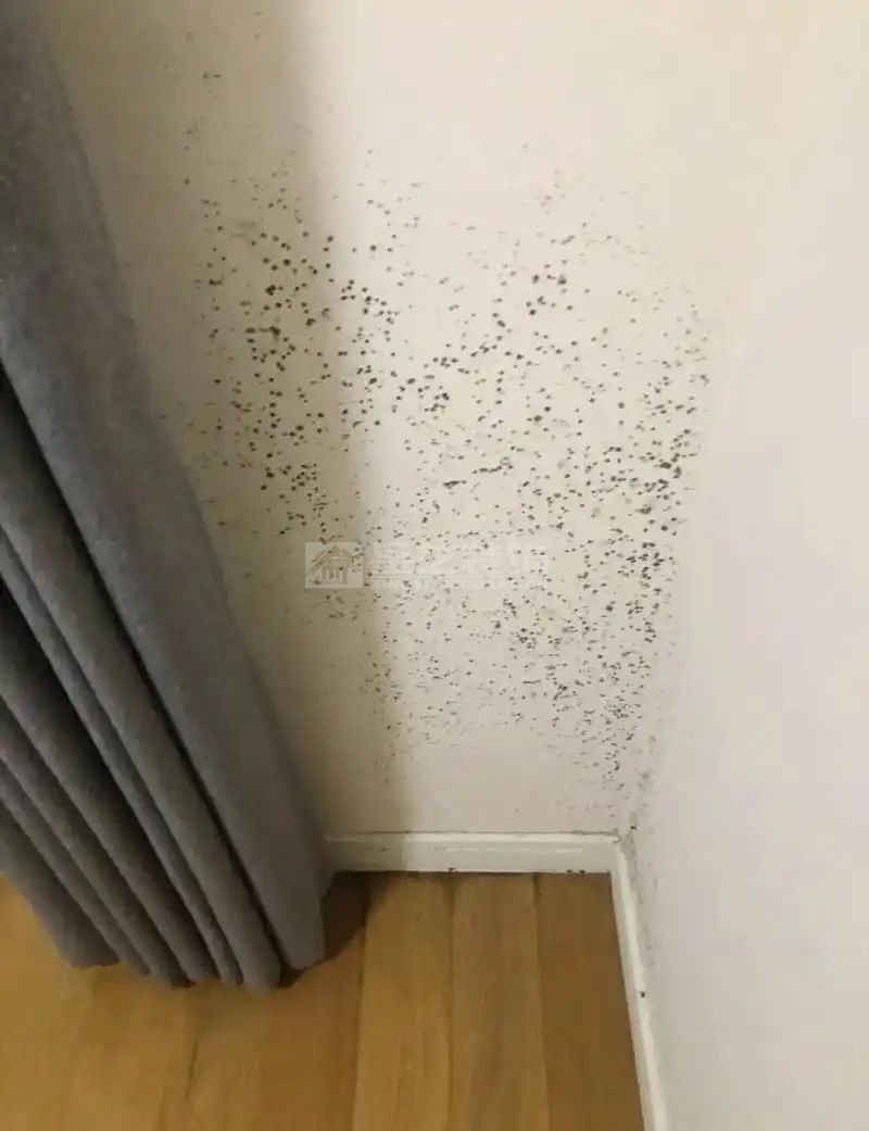 家庭中不及时焕新会存在哪些健康隐患?(图4) d7340ee5279d2538984863cfddeb6bff.jpg
