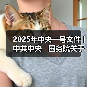2025年中央一号文件丨中共中央　国务院关于进一步深化农村改革　扎实推进乡村全面振兴的意见（图3）