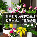 越来越多城市开始重金收回土地，“收储会是2025年土地市场的一大看点”！（图4）