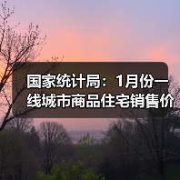 国家统计局：1月份一线城市商品住宅销售价格环比继续上涨，二三线城市环比总体略降（图4）