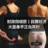 时政微观察丨民营经济大显身手正当其时（图1）