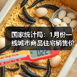国家统计局：1月份一线城市商品住宅销售价格环比继续上涨，二三线城市环比总体略降（图2）