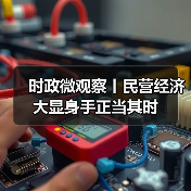 时政微观察丨民营经济大显身手正当其时（图3）