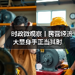 时政微观察丨民营经济大显身手正当其时（图4）