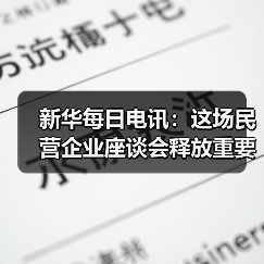 新华每日电讯：这场民营企业座谈会释放重要信号（图1）