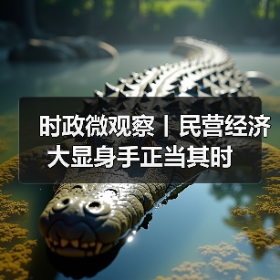 时政微观察丨民营经济大显身手正当其时（图2）
