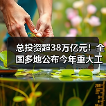 总投资超38万亿元！全国多地公布今年重大工程项目投资计划！（图2）