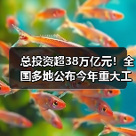 总投资超38万亿元！全国多地公布今年重大工程项目投资计划！（图1）
