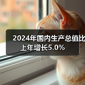 2024年国内生产总值比上年增长5.0%（图4）