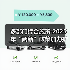多部门综合施策 2025年“两新”政策加力扩围（图4）