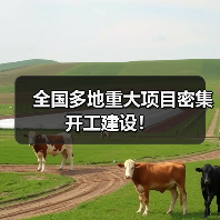 全国多地重大项目密集开工建设！（图3）