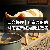 两会快评 ▎让有温度的城市更新成为民生改善和城市发展的“金钥匙”（图3）