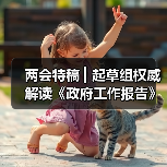 两会特稿 ▎起草组权威解读《政府工作报告》（图2）