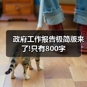 政府工作报告极简版来了!只有800字（图3）