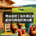 两会前瞻 ▎海外建设者期待与两会同频共振（图4）