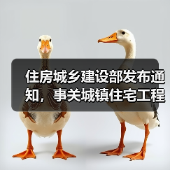 住房城乡建设部发布通知，事关城镇住宅工程质量问题重点整治（图4）