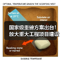 国家级重磅方案出台！放大重大工程项目建设就业增量！（图1）
