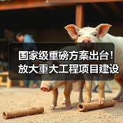国家级重磅方案出台！放大重大工程项目建设就业增量！（图4）