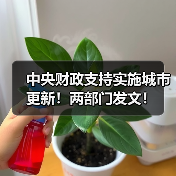中央财政支持实施城市更新！两部门发文！（图3）