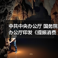 中共中央办公厅 国务院办公厅印发《提振消费专项行动方案》（图2）