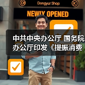 中共中央办公厅 国务院办公厅印发《提振消费专项行动方案》（图4）