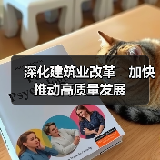 深化建筑业改革　加快推动高质量发展（图3）
