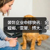 装饰企业中标快讯:金螳螂、亚厦、博大、中壹、长城……(图3) 装饰企业中标快讯:金螳螂、亚厦、博大、中壹、长城……(图3)