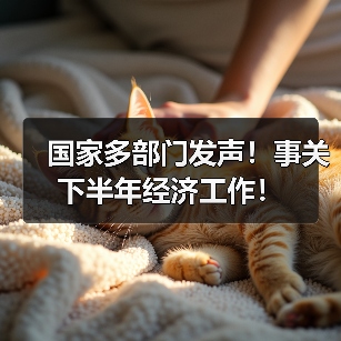 国家多部门发声！事关下半年经济工作！（图2）