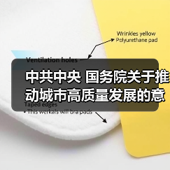 中共中央 国务院关于推动城市高质量发展的意见（图3）