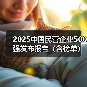 2025中国民营企业500强发布报告（含榜单）（图2）