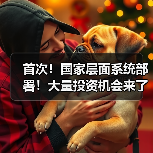 首次！国家层面系统部署！大量投资机会来了！（图2）