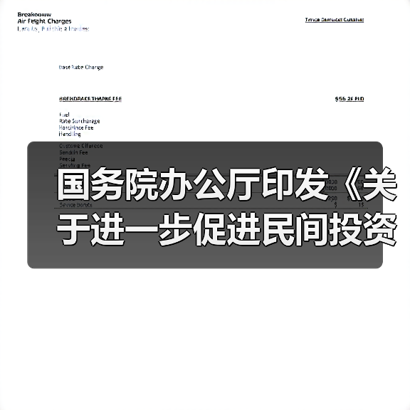国务院办公厅印发《关于进一步促进民间投资发展的若干措施》（图4）