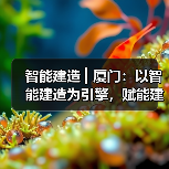 智能建造 ▎厦门：以智能建造为引擎，赋能建筑业高质量发展（图1）