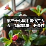 第三十七届中国仿真大会“智能建造”分会在合肥召开（图4）