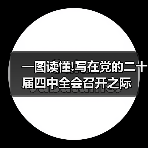 一图读懂!写在党的二十届四中全会召开之际(图4) 一图读懂!写在党的二十届四中全会召开之际(图4)