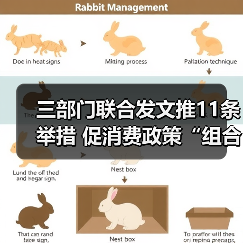 三部门联合发文推11条举措 促消费政策“组合拳”再加码(图3) 三部门联合发文推11条举措 促消费政策“组合拳”再加码(图3)