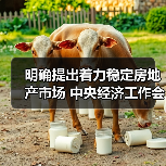 明确提出着力稳定房地产市场 中央经济工作会议部署明年八项重点任务（图4）