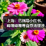 上海：已指导小红书、哔哩哔哩等自查清理涉唱衰楼市、歪曲解读房产政策等违法违规和不良信息（图1）