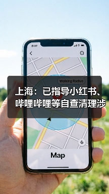 上海：已指导小红书、哔哩哔哩等自查清理涉唱衰楼市、歪曲解读房产政策等违法违规和不良信息（图4）