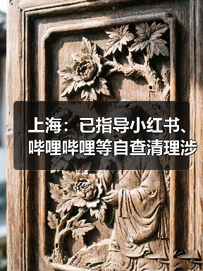 上海：已指导小红书、哔哩哔哩等自查清理涉唱衰楼市、歪曲解读房产政策等违法违规和不良信息（图3）