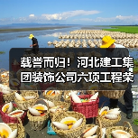 载誉而归！河北建工集团装饰公司六项工程荣膺“2025年河北省建筑装饰优质工程”（图2）