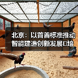 北京：以首善标准推动智能建造创新发展 培育首都建筑业转型升级新生态（图3）