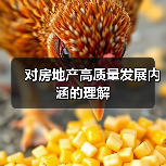 对房地产高质量发展内涵的理解（图3）
