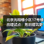 北京光明楼小区17号楼改建试点：危旧建筑更新、延续的民生实践 ▎旧改“好房子”⑪（图3）