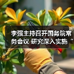 李强主持召开国务院常务会议 研究深入实施“两重”建设有关工作等（图3）