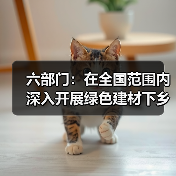 六部门：在全国范围内深入开展绿色建材下乡活动（图4）