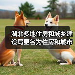 湖北多地住房和城乡建设局更名为住房和城市更新局（图4）