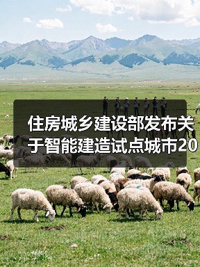 住房城乡建设部发布关于智能建造试点城市2023年度工作情况的通报（图4）