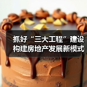 抓好“三大工程”建设 构建房地产发展新模式（图2）