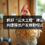 抓好“三大工程”建设 构建房地产发展新模式（图1）